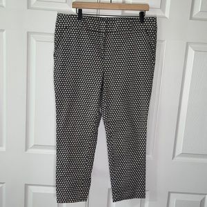 ▪️Ann Taylor Loft▪️